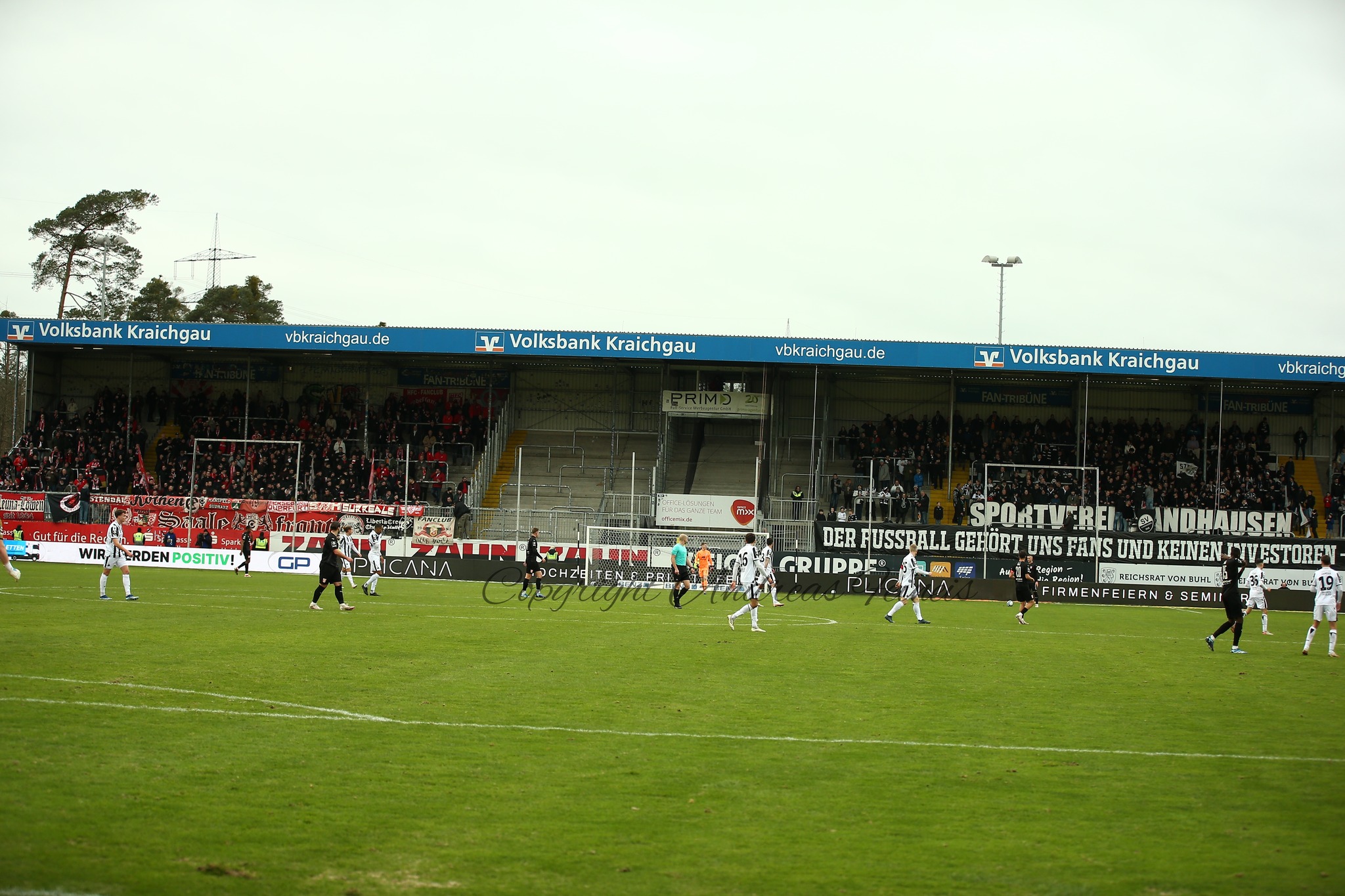 SV Sandhausen – Hallescher FC 1-1 (6)