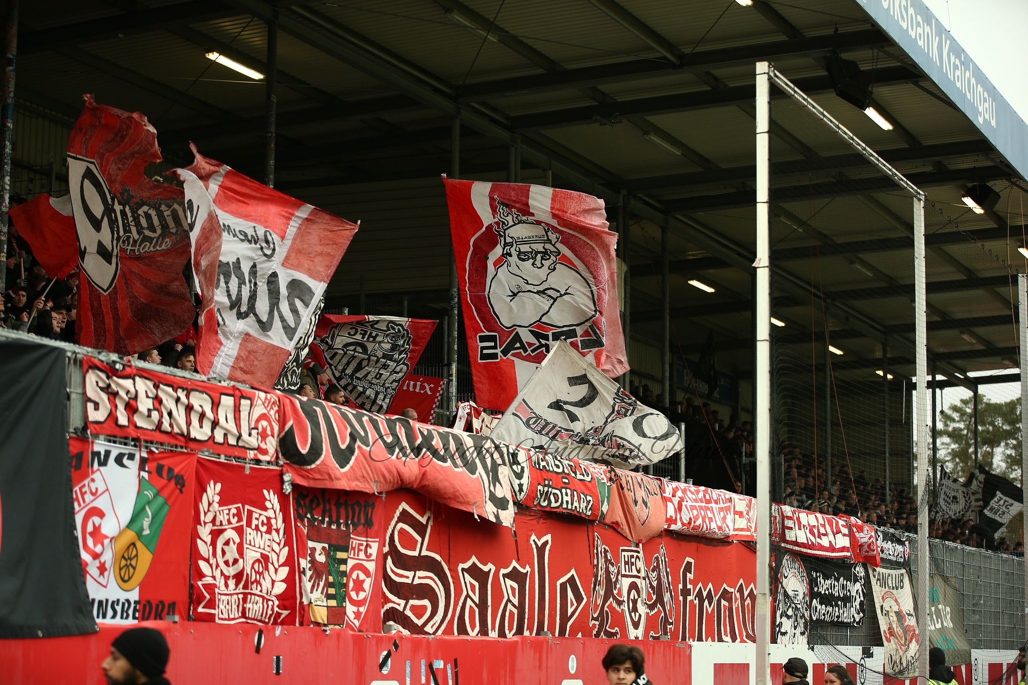 SV Sandhausen – Hallescher FC 1-1 (9)