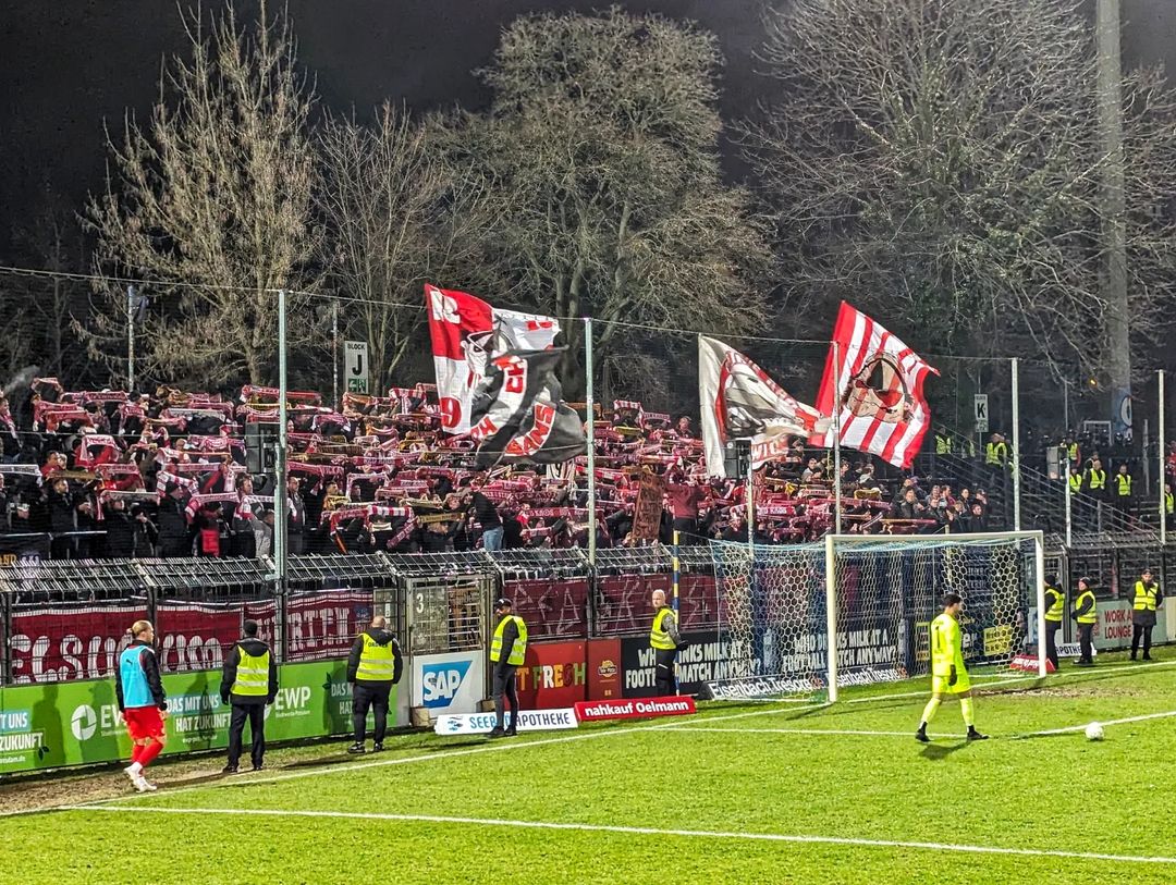 SV Babelsberg 03 – FSV Zwickau 3-1 (10)