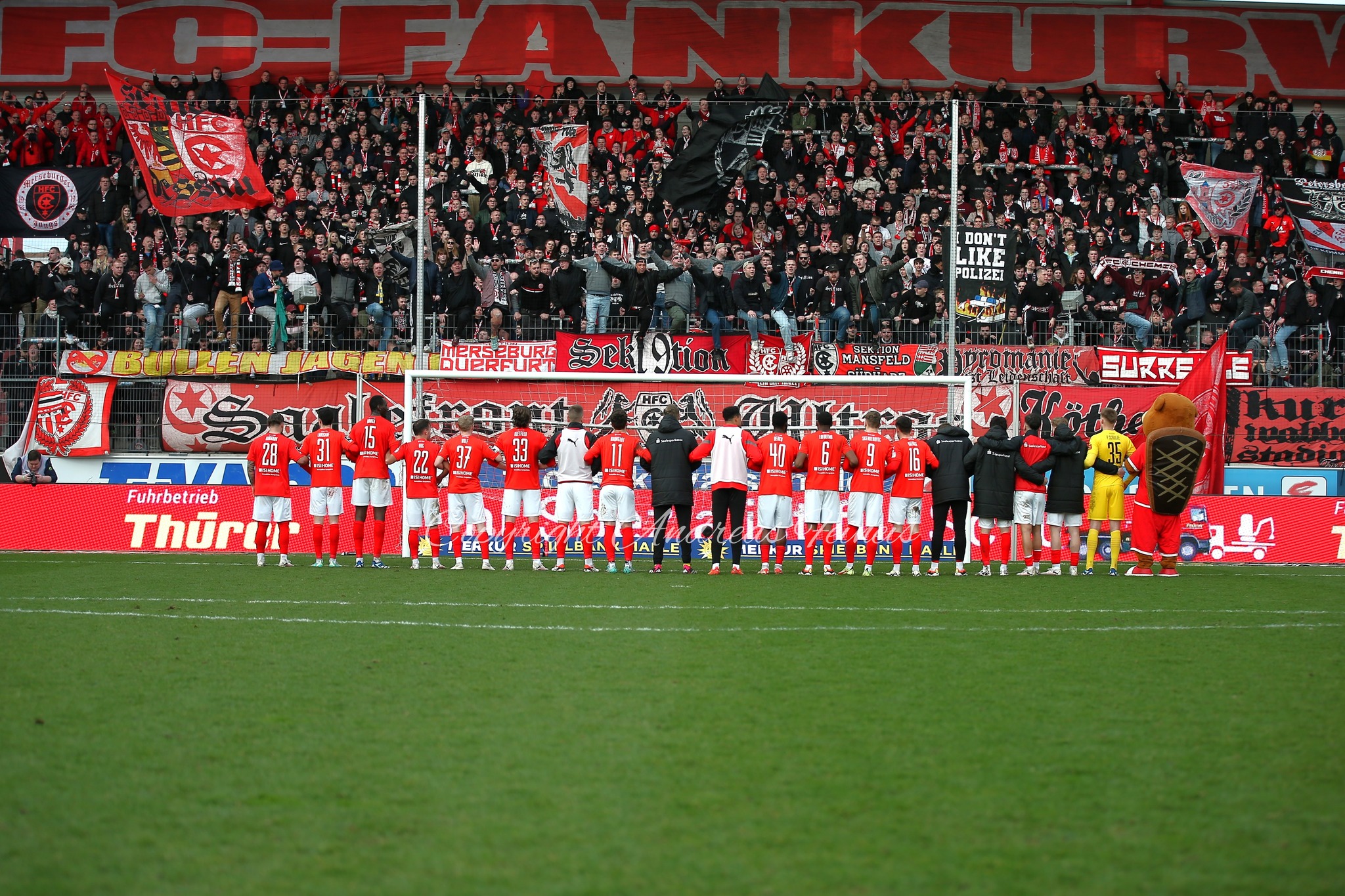 Hallescher FC – VfB Lübeck 3-0 (3)
