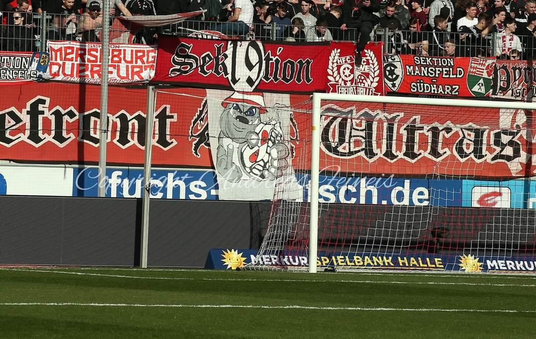 Hallescher FC – Dynamo Dresden 1-0 (21)