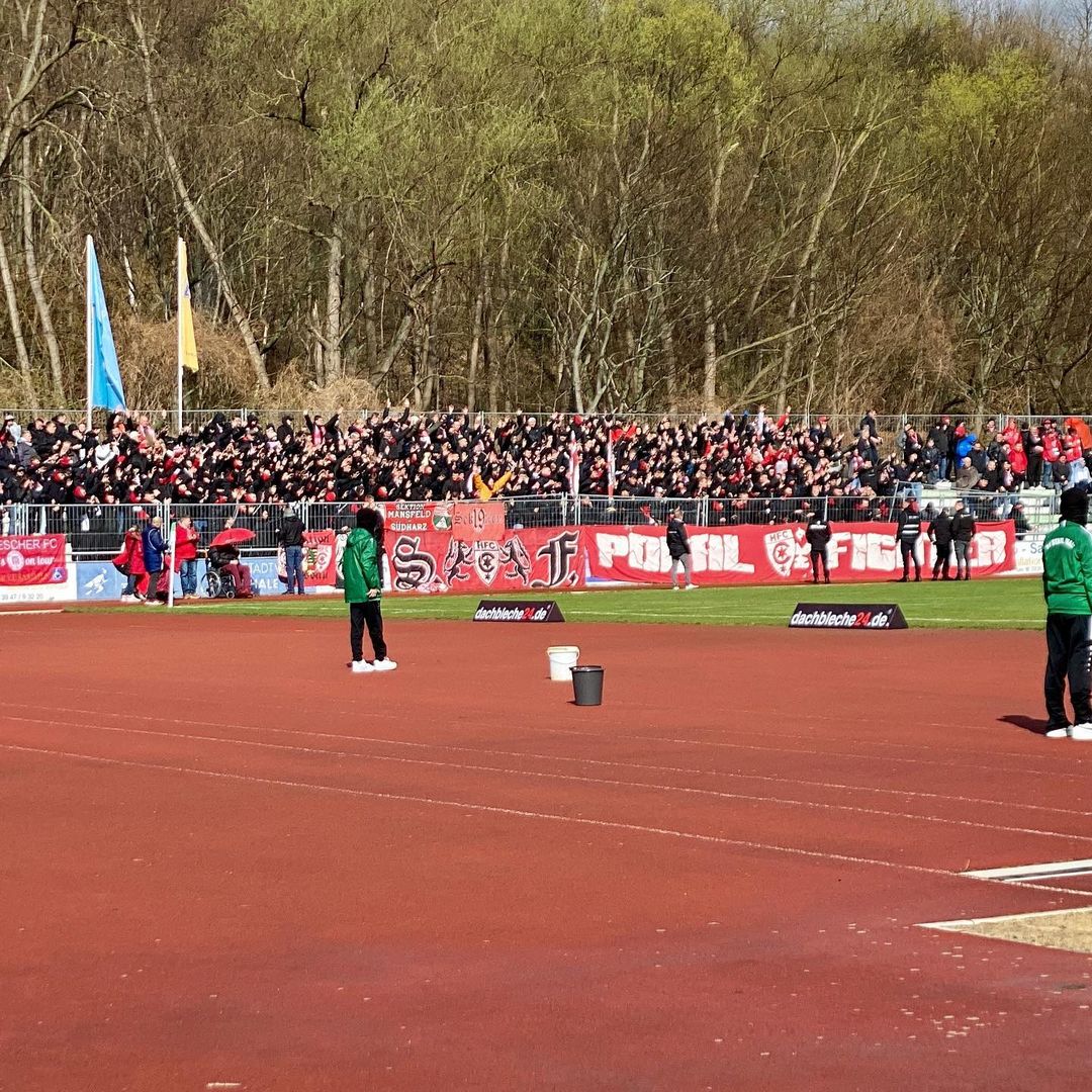 SV Stahl Thale – Hallescher FC 1-5 (3)