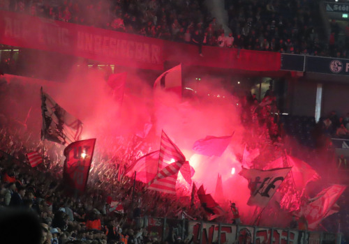 FC Schalke 04 – Fortuna Düsseldorf 1-1 (7)