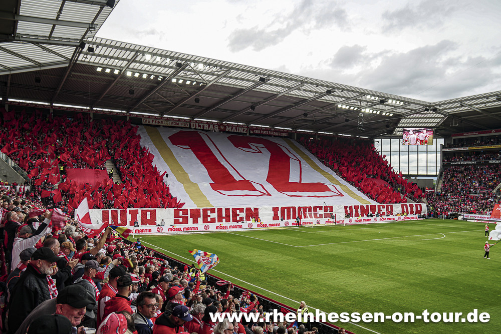 1. FSV Mainz 05 – 1. FC Köln 1-1 (8)
