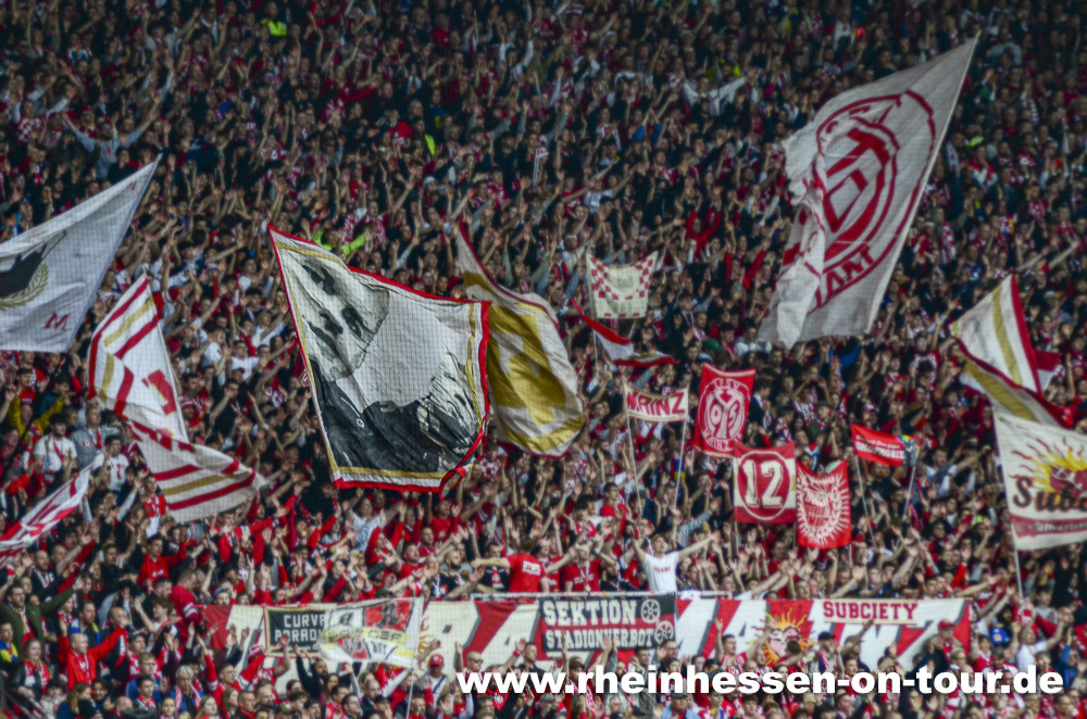 1. FSV Mainz 05 – 1. FC Köln 1-1 (29)