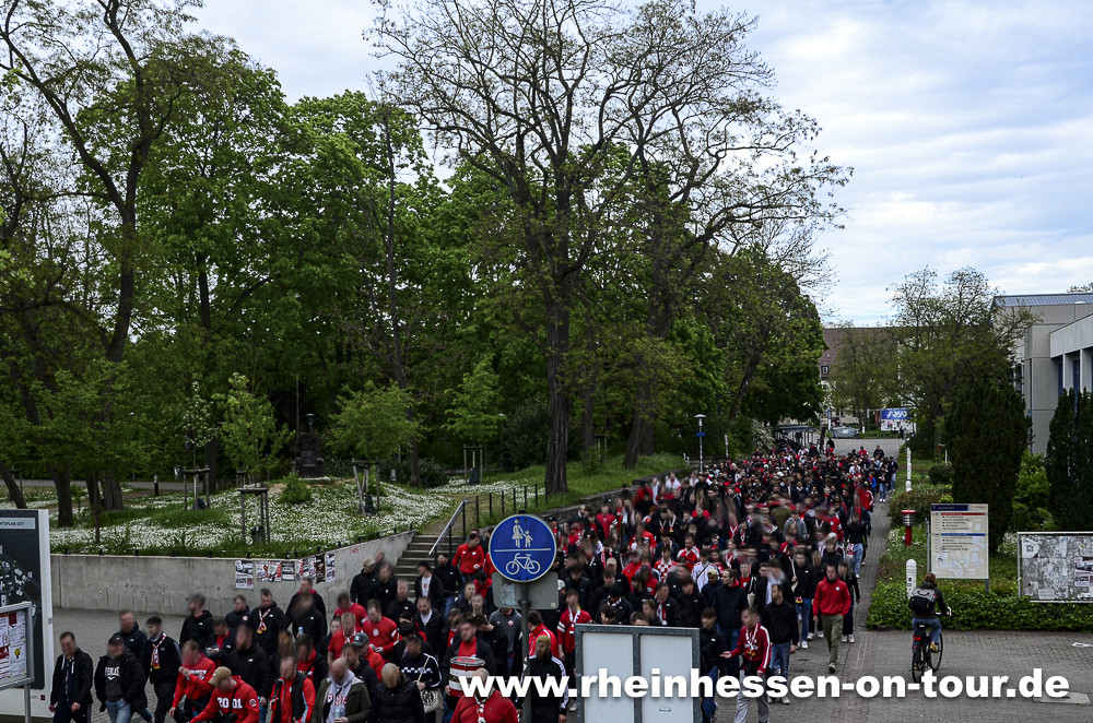 1. FSV Mainz 05 – 1. FC Köln 1-1 (48)