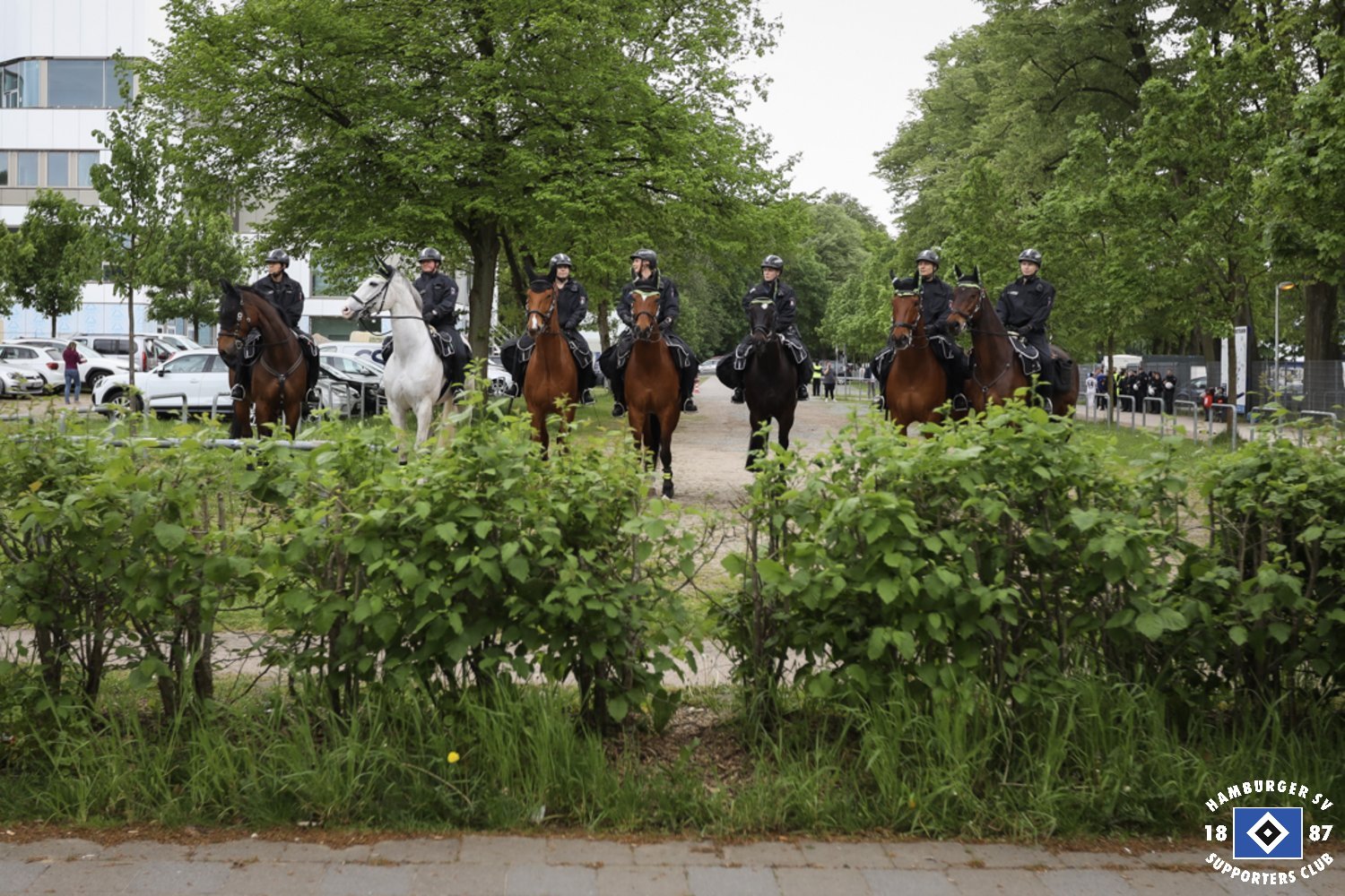 Hamburger SV – FC St. Pauli 1-0 (31)