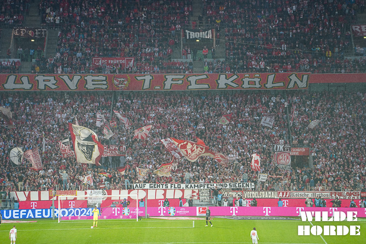 1. FC Köln – SC Freiburg 0-0 (18)