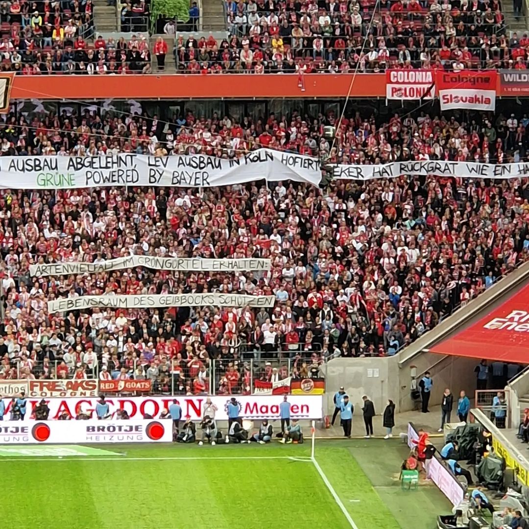 1. FC Köln – SC Freiburg 0-0 (21)