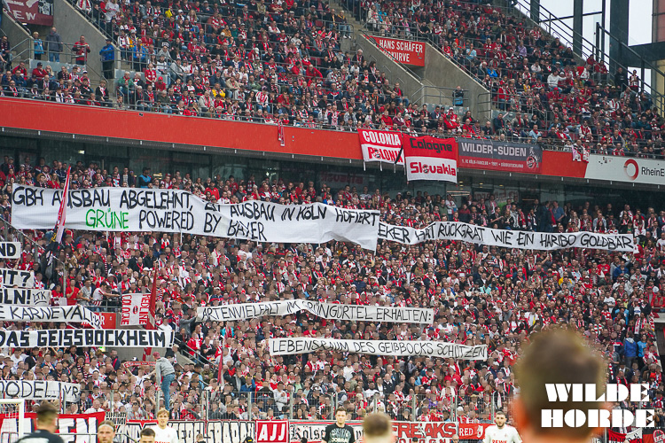 1. FC Köln – SC Freiburg 0-0 (22)