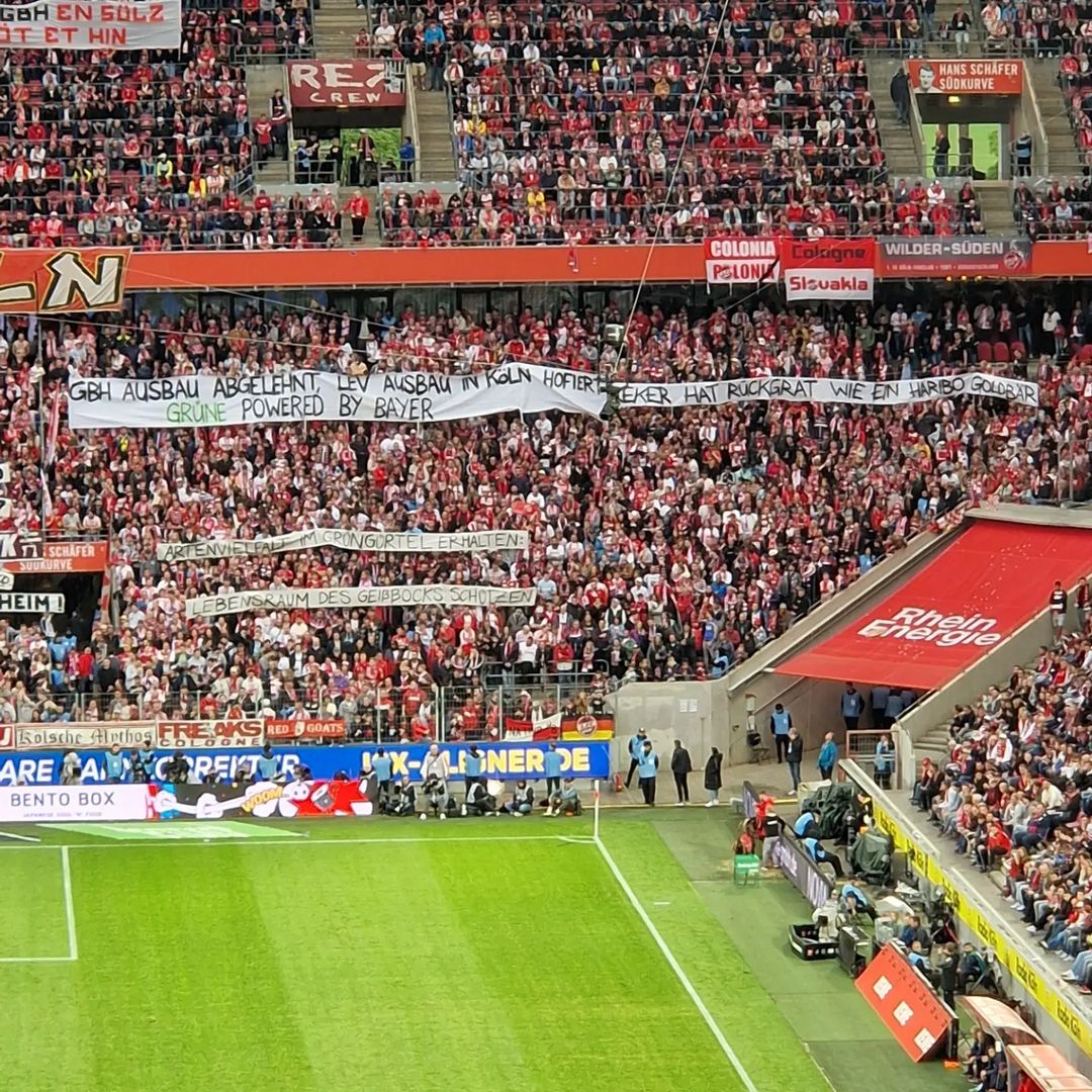 1. FC Köln – SC Freiburg 0-0 (25)