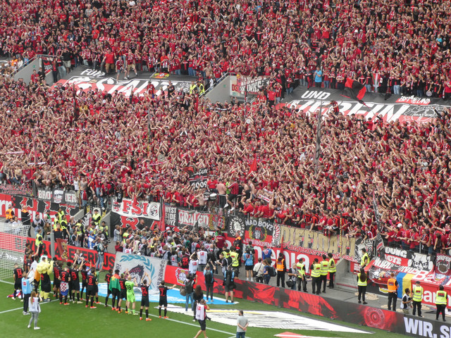 Bayer 04 Leverkusen – FC Augsburg 2-1 (15)
