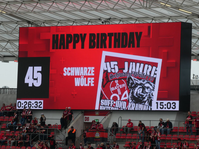 Bayer 04 Leverkusen – FC Augsburg 2-1 (21)