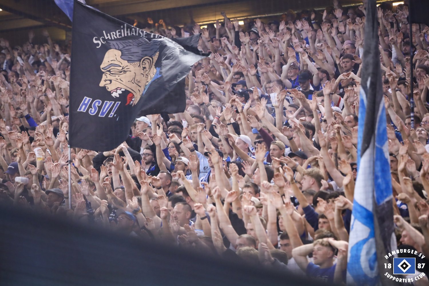 Hamburger SV – Hertha BSC 1-1 (4)