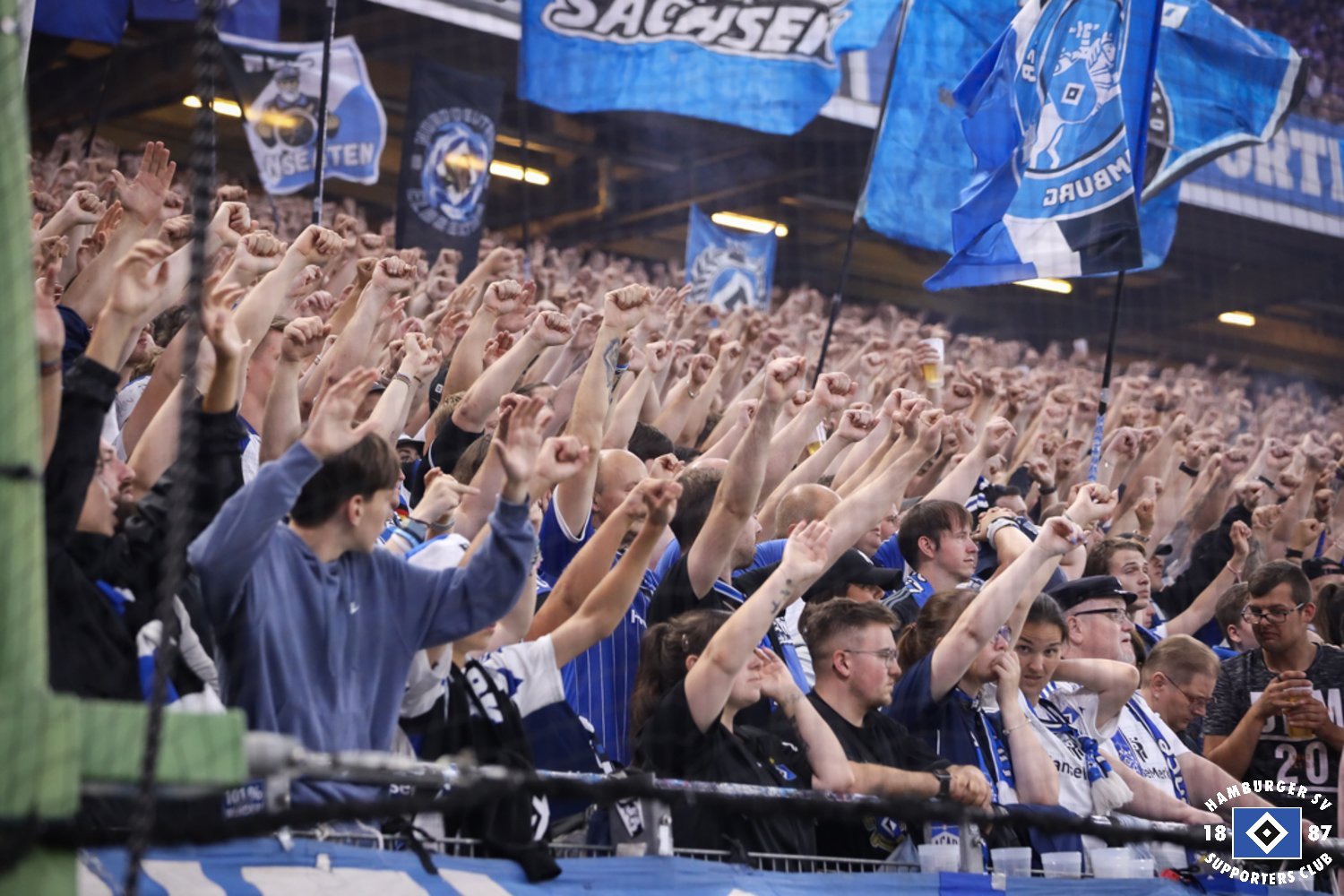 Hamburger SV – Hertha BSC 1-1 (6)