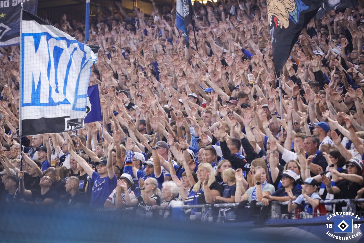 Hamburger SV – Hertha BSC 1-1 (7)