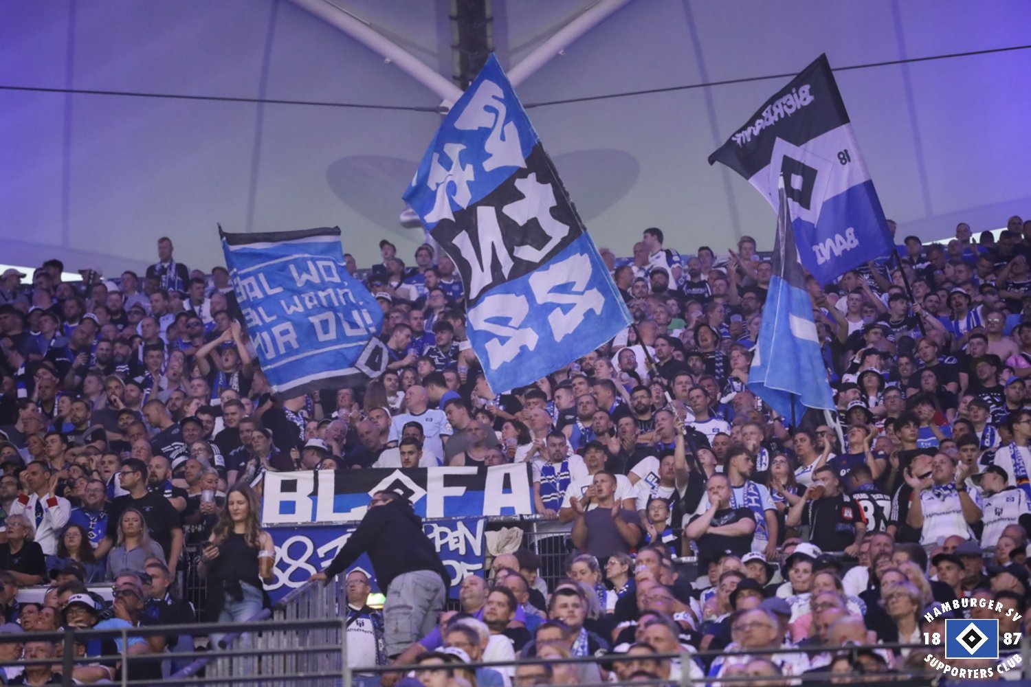 Hamburger SV – Hertha BSC 1-1 (17)