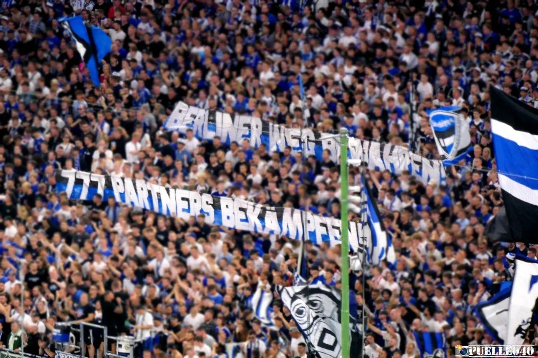 Hamburger SV – Hertha BSC 1-1 (34)