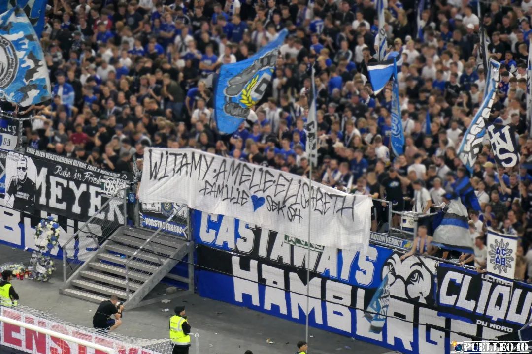 Hamburger SV – Hertha BSC 1-1 (35)