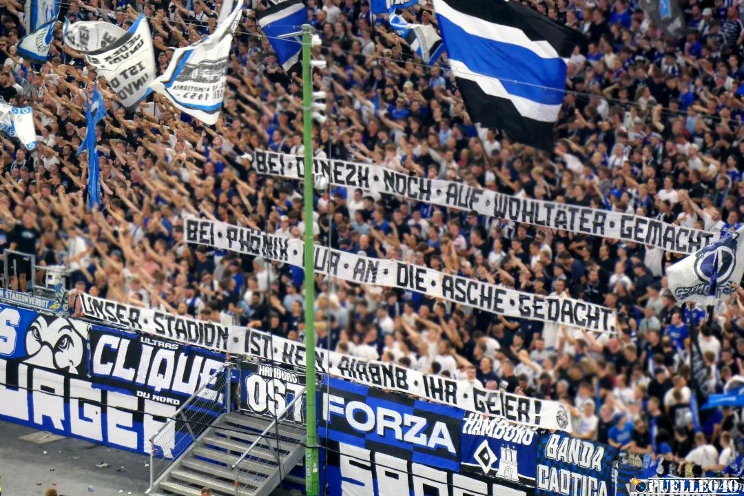 Hamburger SV – Hertha BSC 1-1 (36)