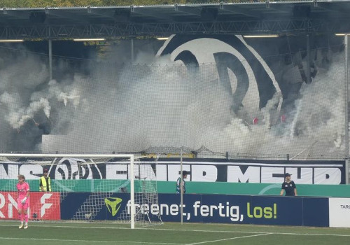 VfR Aalen – FC Schalke 04 (10)