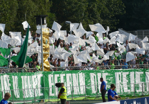TuS Koblenz – VfL Wolfsburg 0-1 (2)
