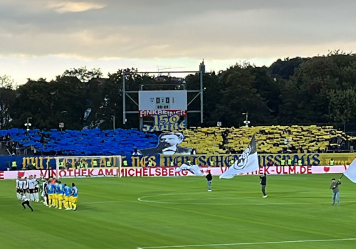 SSV Ulm 1846 – Eintracht Braunschweig 3-1 (10)