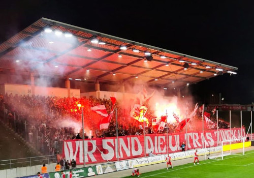 FSV Zwickau – Hallescher FC 1-0 (24)