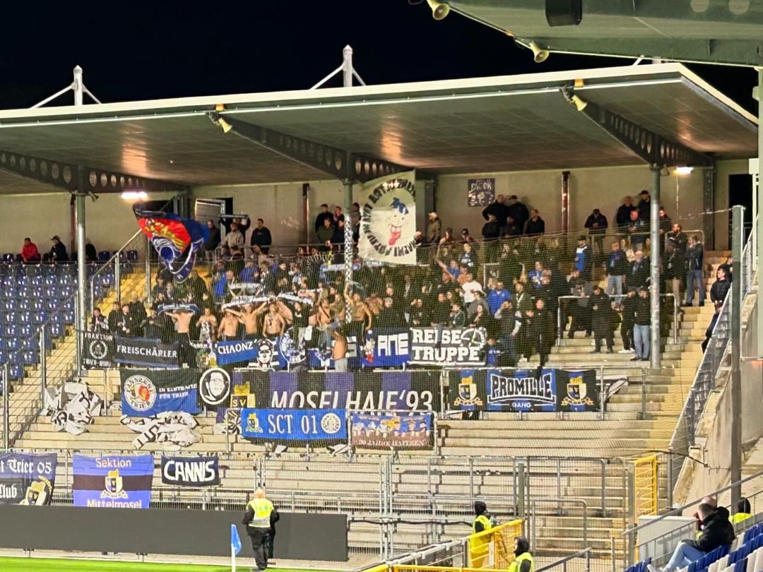 TSG Hoffenheim II – SV Eintracht Trier 05 3-0 (1)