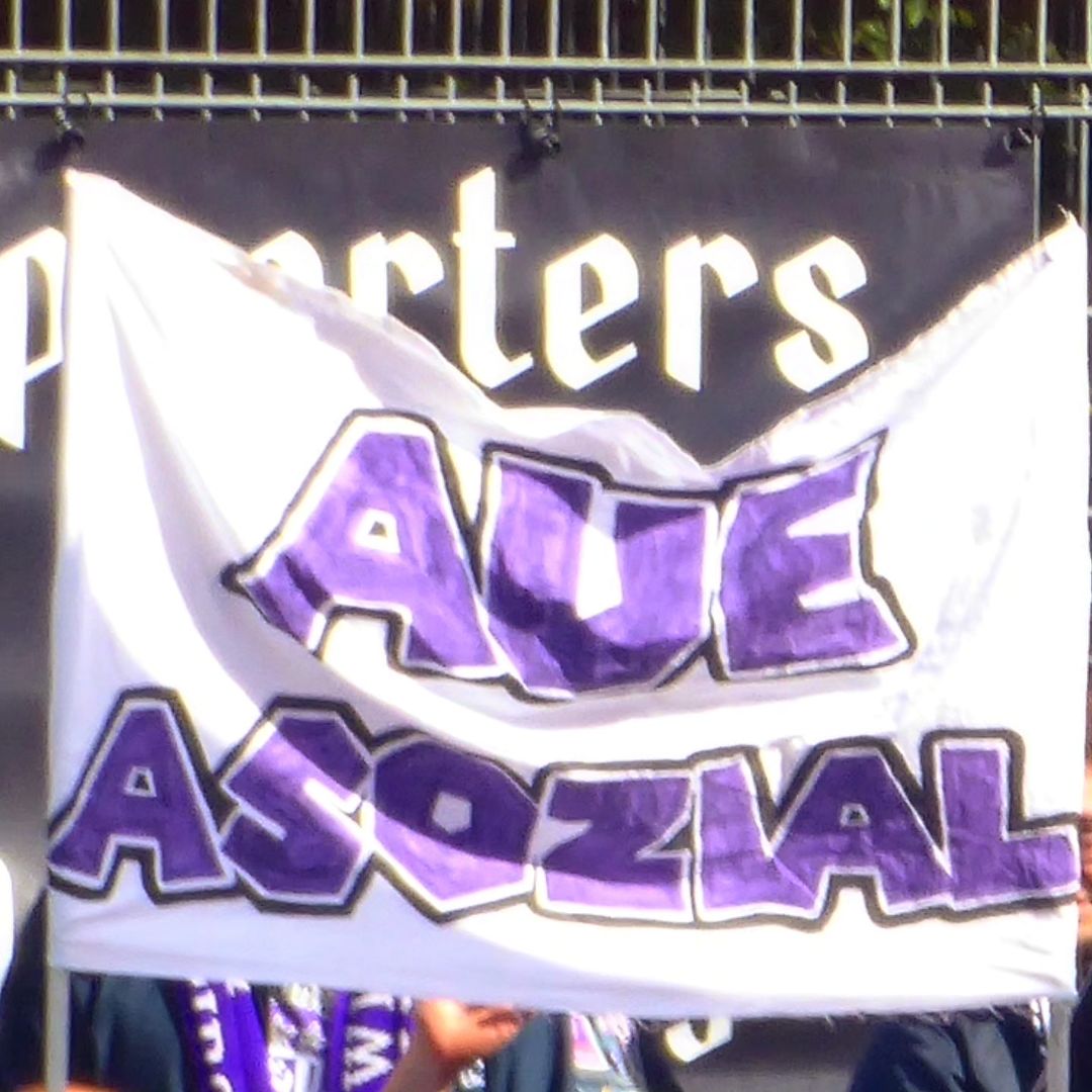 Viktoria Köln – FC Erzgebirge Aue 2-1 (2)