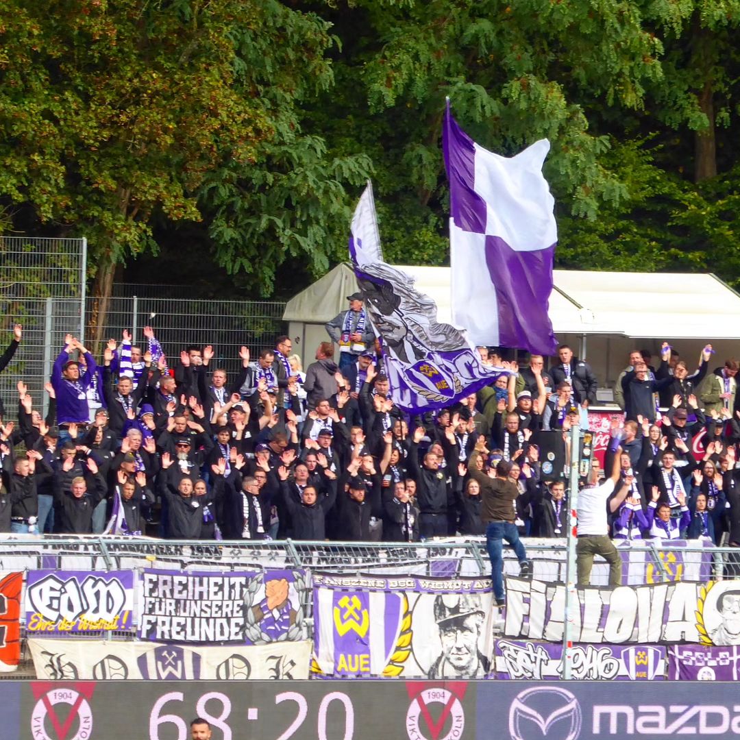 Viktoria Köln – FC Erzgebirge Aue 2-1 (4)