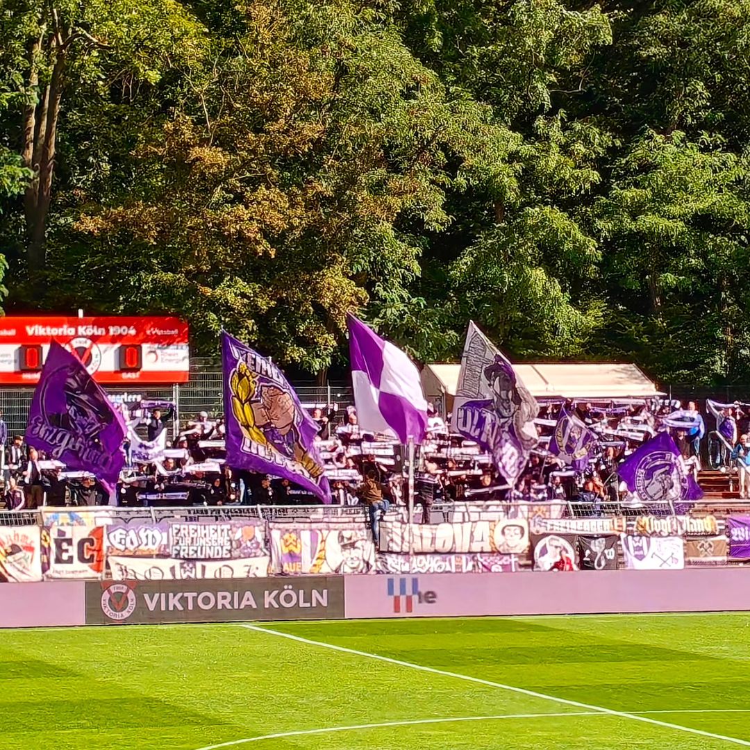 Viktoria Köln – FC Erzgebirge Aue 2-1 (5)