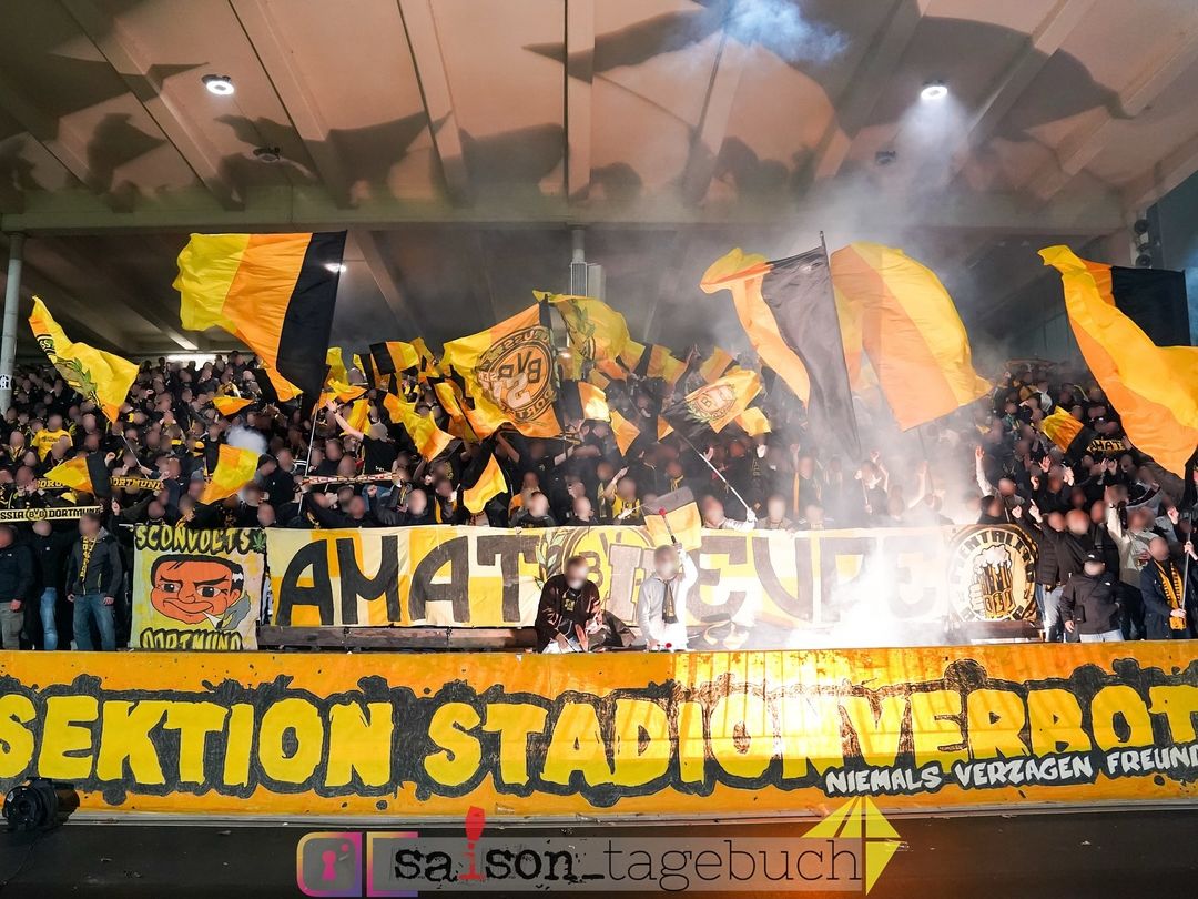 Borussia Dortmund II – Dynamo Dresden 2-1 (3)