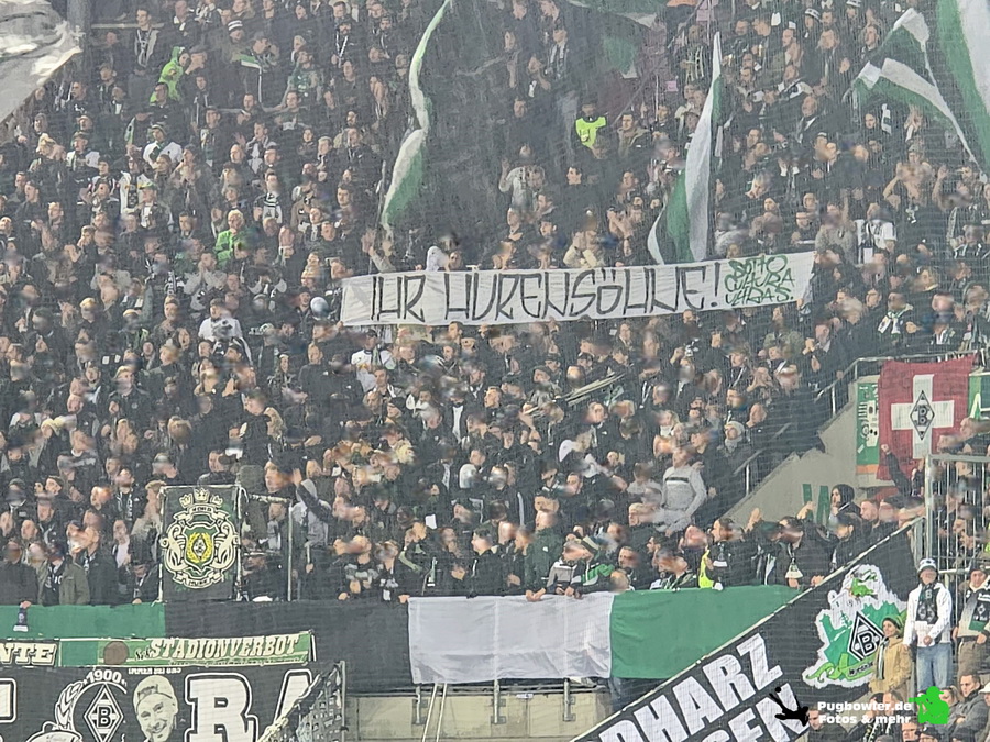 FC Augsburg – Borussia Mönchengladbach 2-1 (9)