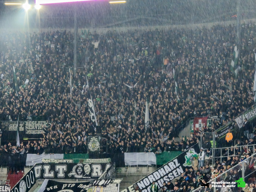 FC Augsburg – Borussia Mönchengladbach 2-1 (15)