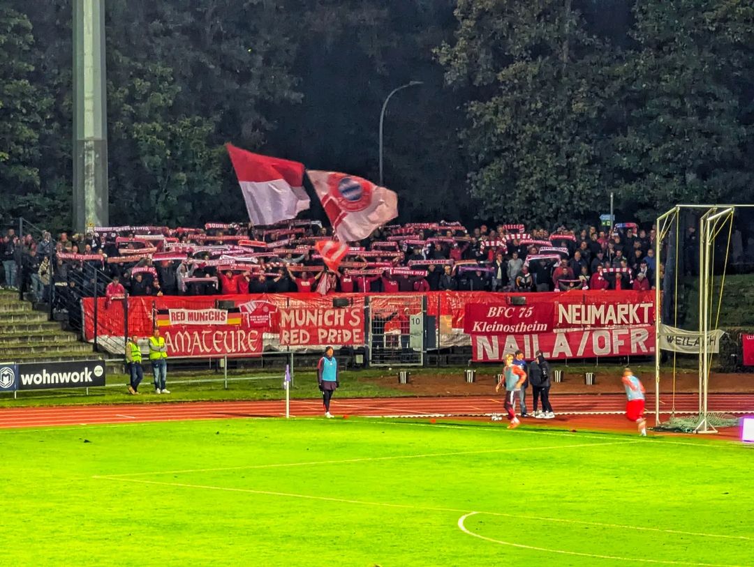 FC Eintracht Bamberg – FC Bayern München II 0-2 (6)