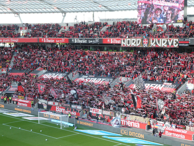 Bayer 04 Leverkusen – Holstein Kiel 2-2 (2)