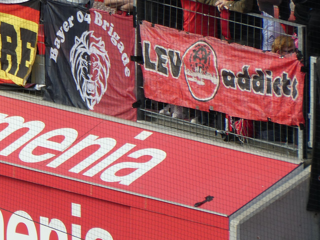 Bayer 04 Leverkusen – Holstein Kiel 2-2 (15)