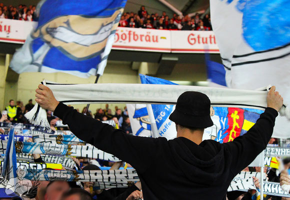 VfB Stuttgart – TSG Hoffenheim 1-1 (5)