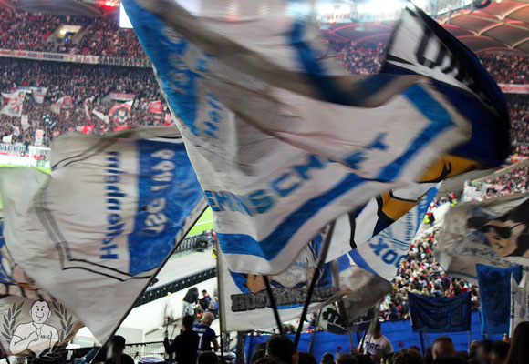 VfB Stuttgart – TSG Hoffenheim 1-1 (9)