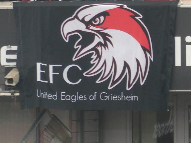 Bayer 04 Leverkusen – Eintracht Frankfurt 2-1 (9)