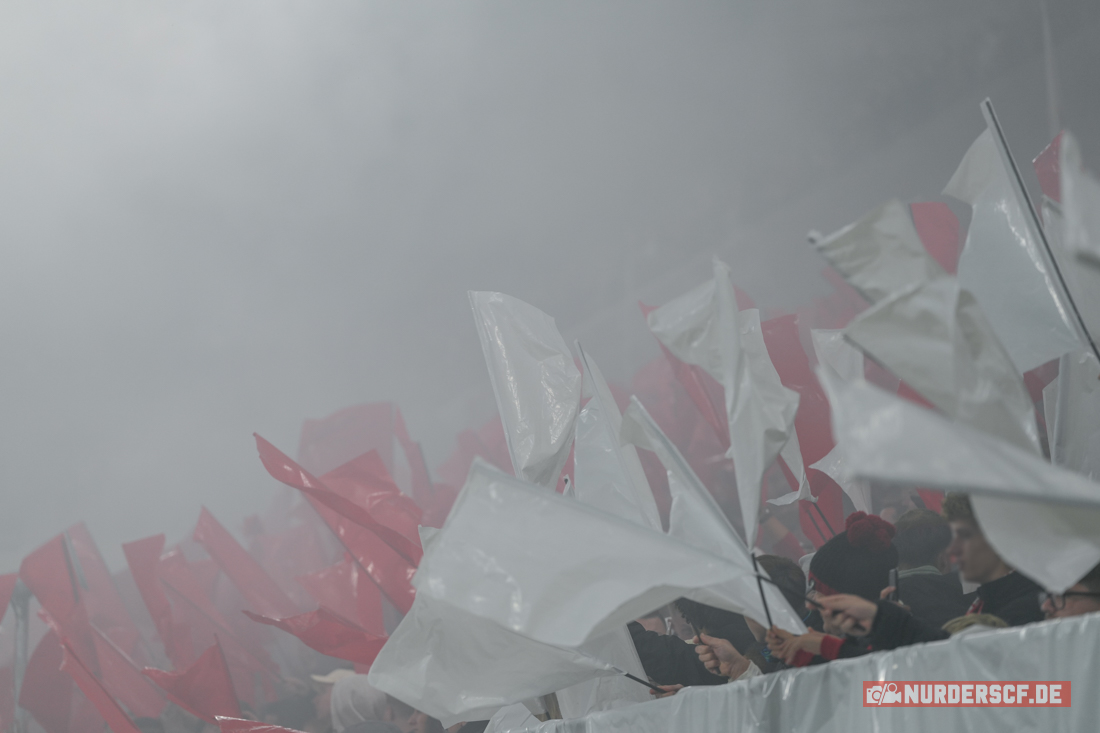 SC Freiburg – Hamburger SV 2-1 (13)