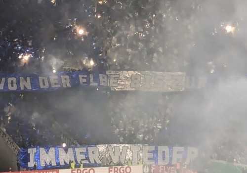 SC Freiburg – Hamburger SV 2-1 (6)