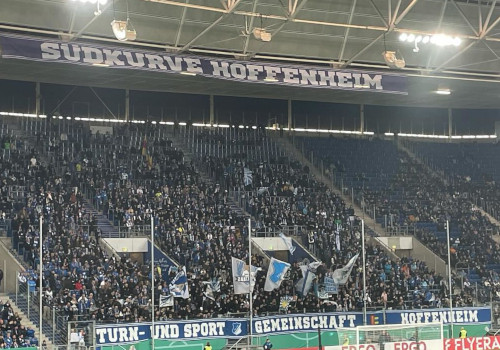TSG Hoffenheim – 1. FC Nürnberg 2-1 (3)