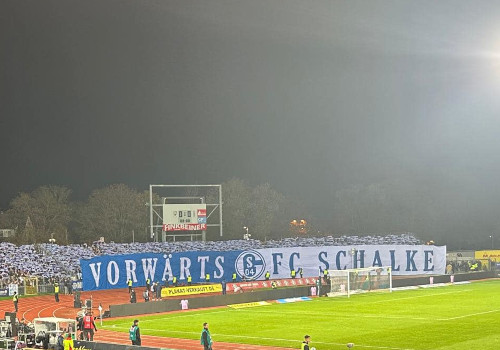 SSV Ulm 1846 – FC Schalke 04 (6)