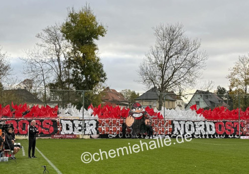 BSG Chemie Leipzig – Hallescher FC 1-1 (10)