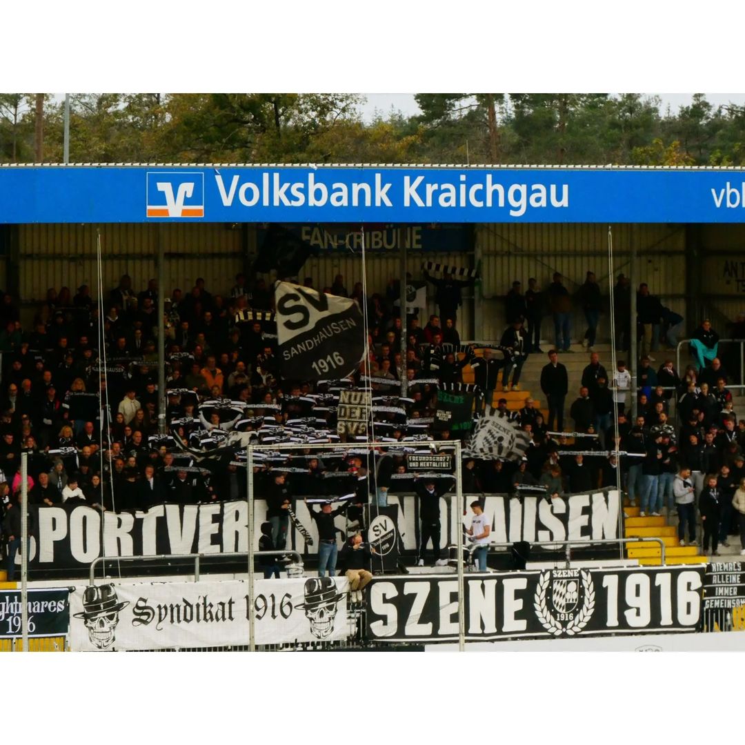 SV Sandhausen – TSV 1860 München 0-3 (2)