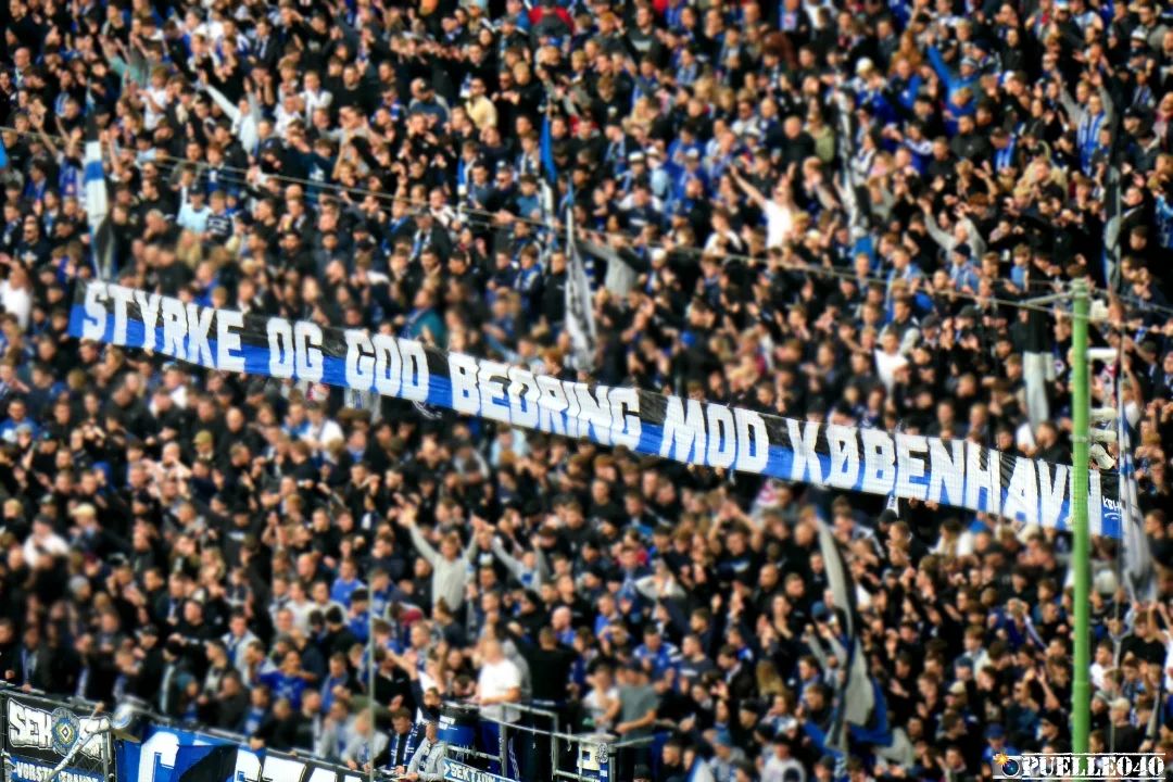 Hamburger SV – 1. FC Nürnberg 1-1 (24)