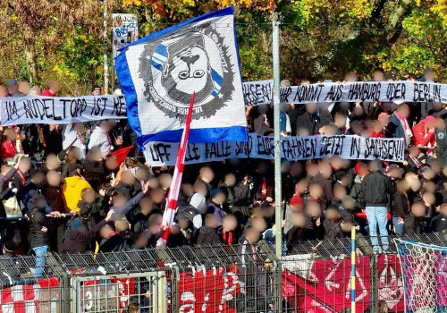 SV Babelsberg 03 – FSV Zwickau 0-2 (4)