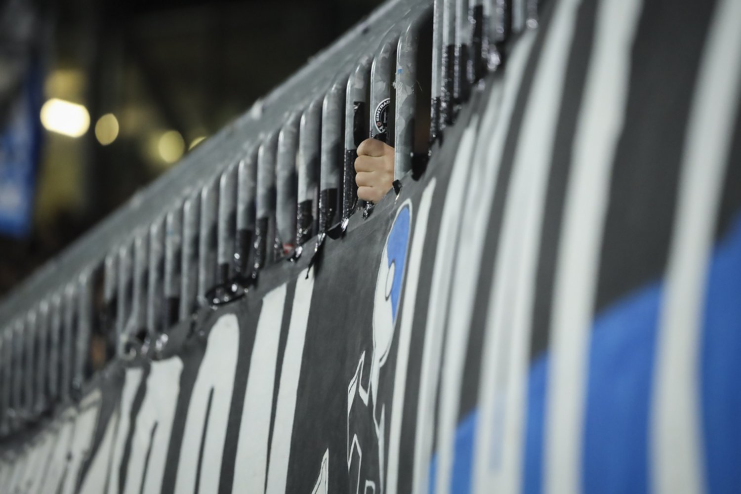 Eintracht Braunschweig – Hamburger SV 3-1 (41)